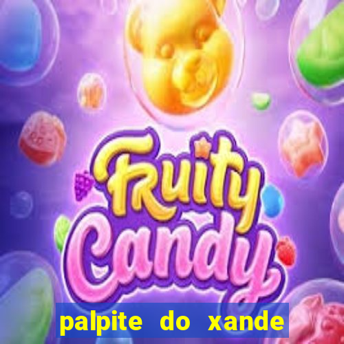 palpite do xande para hoje